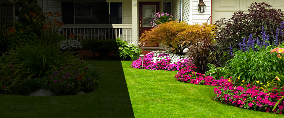 Asheville Landscapers