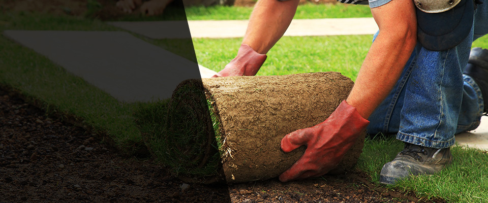Asheville Landscapers